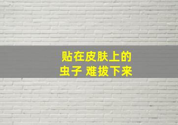 贴在皮肤上的虫子 难拔下来